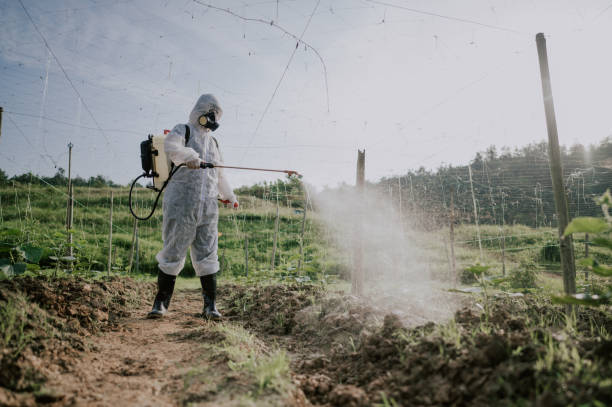 Best Local Pest Control Services  in Kemp Mill, MD