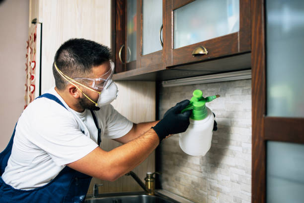 Best Cockroach Control Services  in Kemp Mill, MD