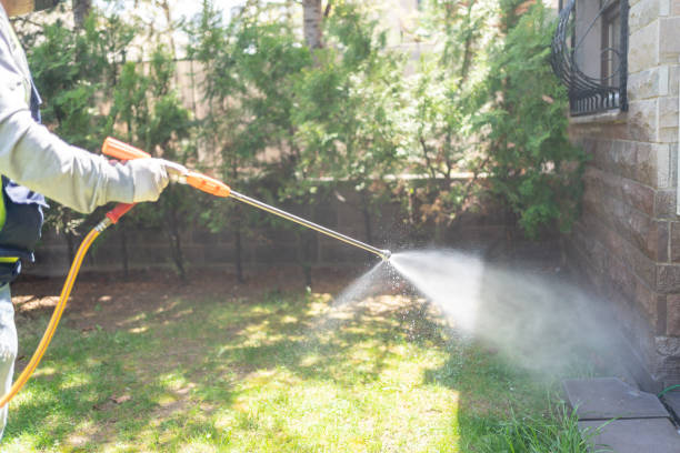 Best Pest Prevention Services  in Kemp Mill, MD