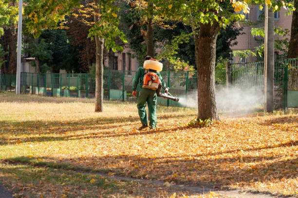 Professional Pest Control in Kemp Mill, MD