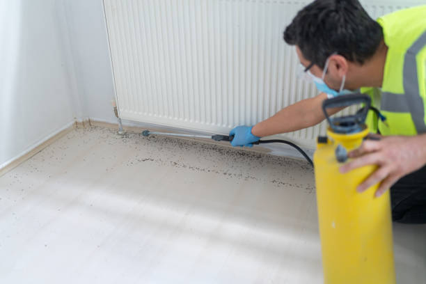 Best Bed Bug Extermination  in Kemp Mill, MD