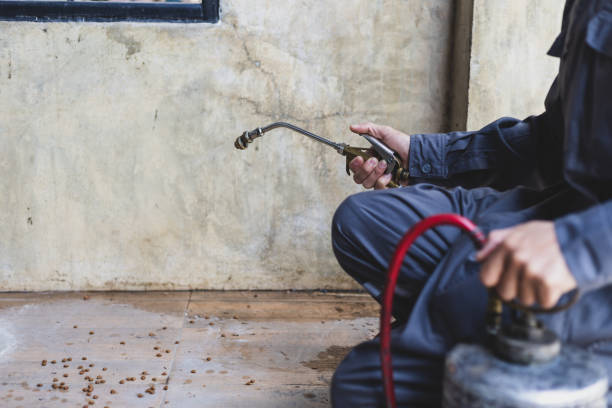 Best Pest Removal Services  in Kemp Mill, MD